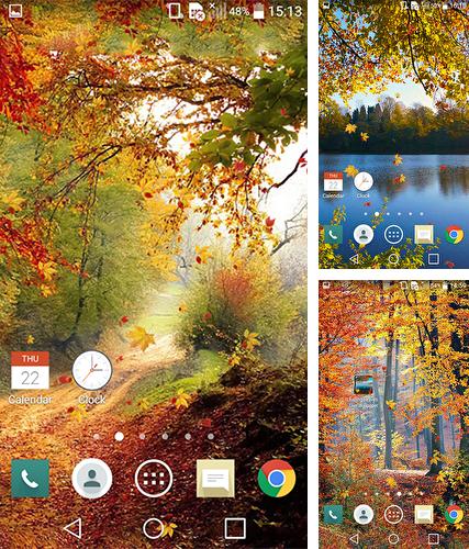 Kostenloses Android-Live Wallpaper Fallende Blätter. Vollversion der Android-apk-App Falling leaves by Wallpapers and Backgrounds Live für Tablets und Telefone.