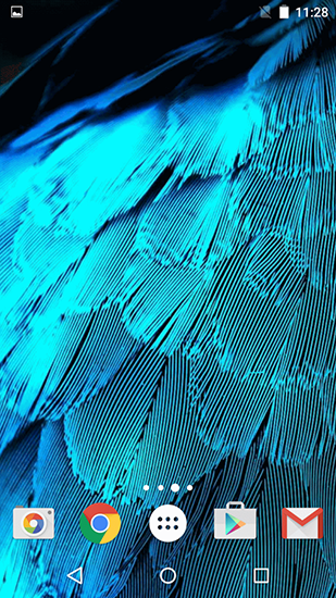 Download livewallpaper Feathers for Android. Get full version of Android apk livewallpaper Feathers for tablet and phone.