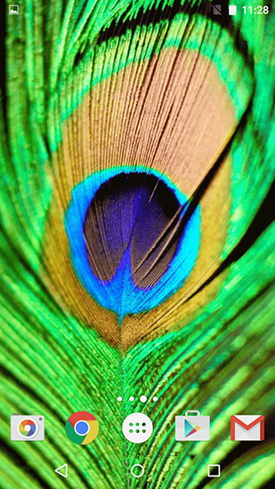 Download Feathers - livewallpaper for Android. Feathers apk - free download.