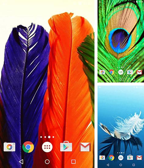 Zusätzlich zum Live Wallpaper Neontiere für Android Mobiltelefone und Tablets, können Sie auch Feathers, Federn kostenlos herunterladen.