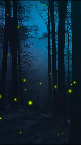 Capturas de pantalla de Fireflies 3D by Live Wallpaper HD 3D para tabletas y teléfonos Android.