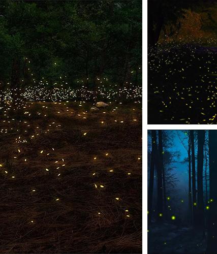 Fireflies 3D by Live Wallpaper HD 3D - бесплатно скачать живые обои на Андроид телефон или планшет.