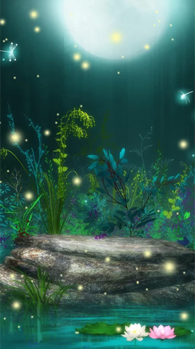 Screenshots of the Fireflies by Creative Factory Wallpapers for Android tablet, phone.