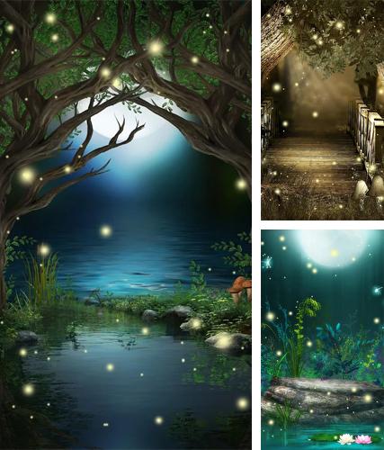 Fireflies by Creative Factory Wallpapers - бесплатно скачать живые обои на Андроид телефон или планшет.