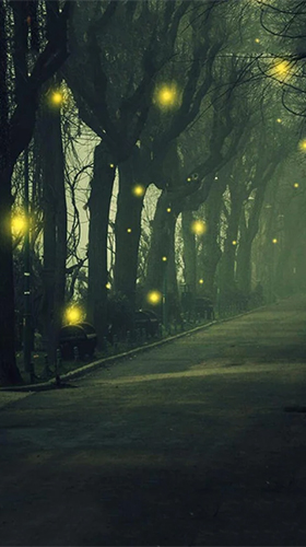 Fireflies by Jango LWP Studio - бесплатно скачать живые обои на Андроид телефон или планшет.