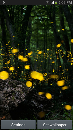 Fireflies by Top live wallpapers hq - бесплатно скачать живые обои на Андроид телефон или планшет.