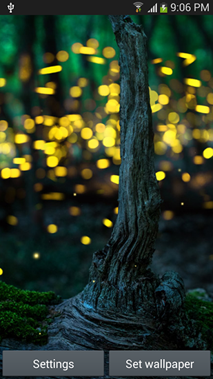 Fireflies by Top live wallpapers hq für Android spielen. Live Wallpaper Glühwürmchen kostenloser Download.