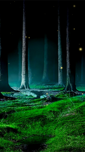 Fireflies by Wallpapers and Backgrounds Live