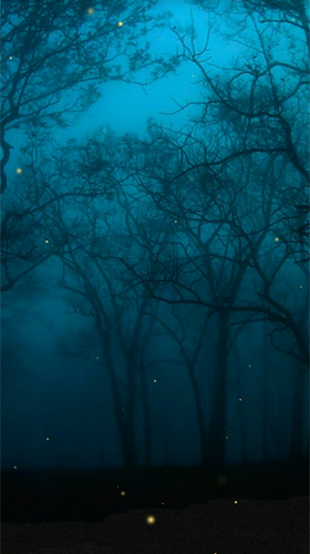 Download livewallpaper Fireflies by Wallpapers and Backgrounds Live for Android. Get full version of Android apk livewallpaper Fireflies by Wallpapers and Backgrounds Live for tablet and phone.