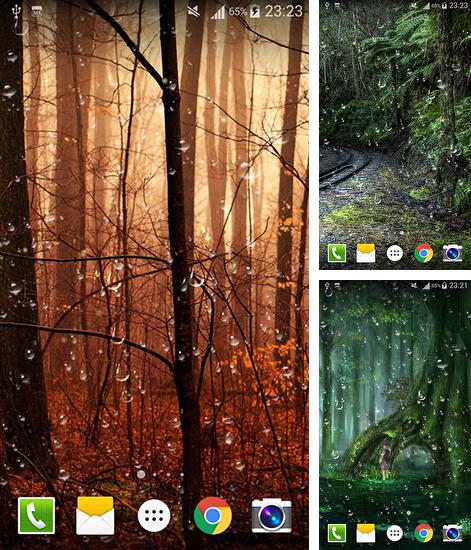 Kostenloses Android-Live Wallpaper Tropfen der Glühwürmchen HD. Vollversion der Android-apk-App Fireflies droplets HD für Tablets und Telefone.
