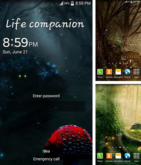 Kostenloses Android-Live Wallpaper Glühwürmchen: Dschungel. Vollversion der Android-apk-App Fireflies: Jungle für Tablets und Telefone.