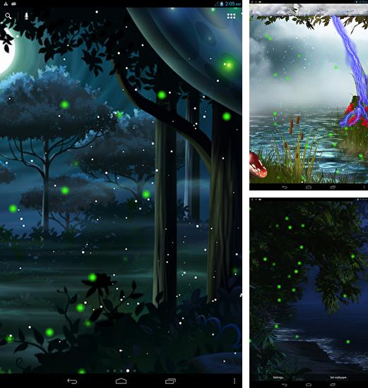 Además de fondo de pantalla animados Gatos lindos para teléfonos y tabletas Android, también puedes descargarte gratis Firefly forest.