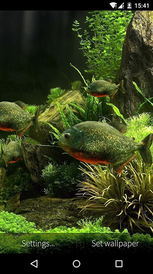 Papeis de parede animados Aquário de peixes 3D para Android. Papeis de parede animados Fish aquarium 3D para download gratuito.