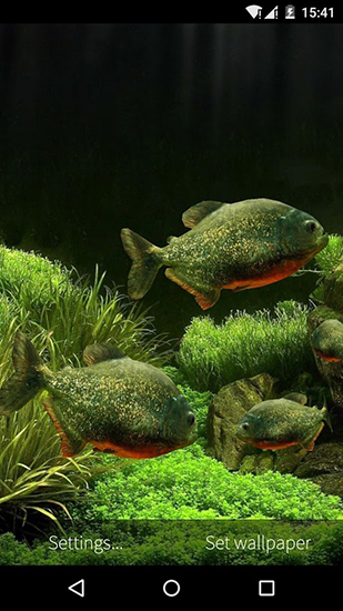 Screenshots do Aquário de peixes 3D para tablet e celular Android.