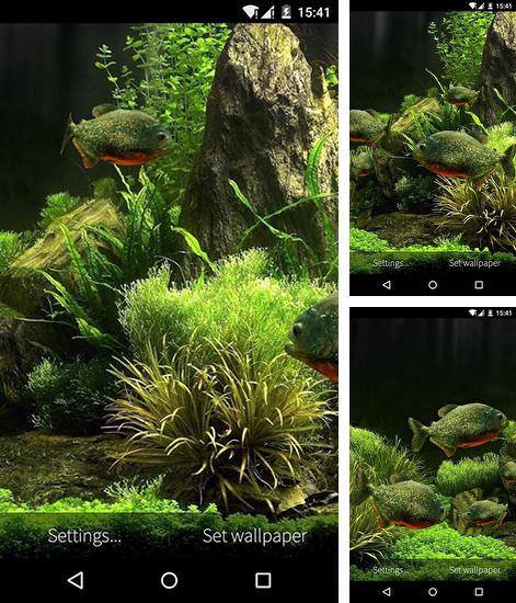 Дополнительно к живым обоям на Андроид телефоны и планшеты Пузыри и бабочки, вы можете также бесплатно скачать заставку Fish aquarium 3D.