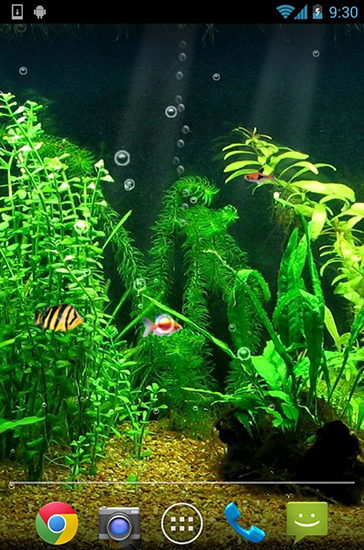 Download Fishbowl - livewallpaper for Android. Fishbowl apk - free download.