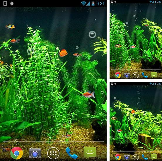 Alem do papel de parede animado Flores para telefones e tablets Android, voce tambem pode baixar Aquário Redondo, Fishbowl gratuitamente.