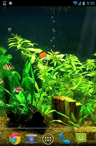 Kostenloses Android-Live Wallpaper Aquarium HD. Vollversion der Android-apk-App Fishbowl HD für Tablets und Telefone.