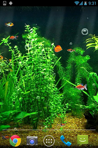 Fishbowl HD für Android spielen. Live Wallpaper Aquarium HD kostenloser Download.