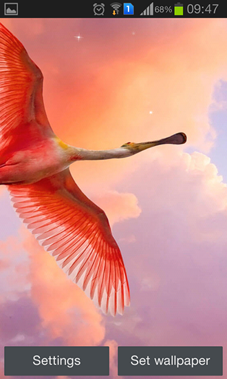 Скріншот Flamingo. Скачати живі шпалери на Андроїд планшети і телефони.