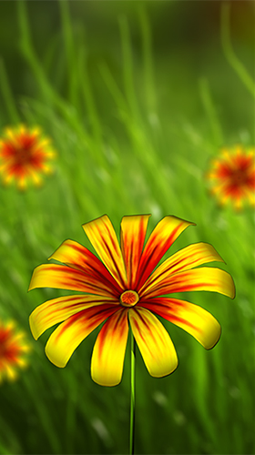 Papeis de parede animados Flor 360 3D para Android. Papeis de parede animados Flower 360 3D para download gratuito.