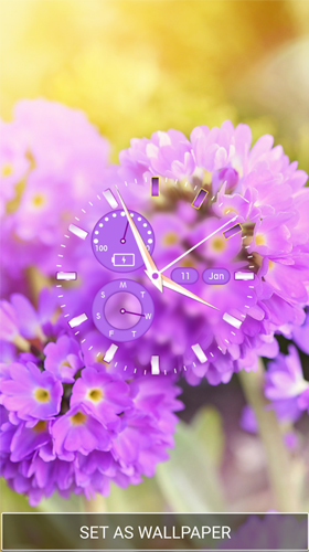 Flower clock by Thalia Spiele und Anwendungen - безкоштовно скачати живі шпалери на Андроїд телефон або планшет.