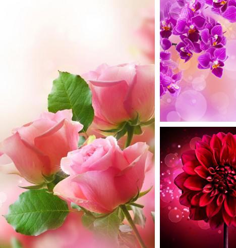 Download live wallpaper Flowers for Android. Get full version of Android apk livewallpaper Flowers for tablet and phone.