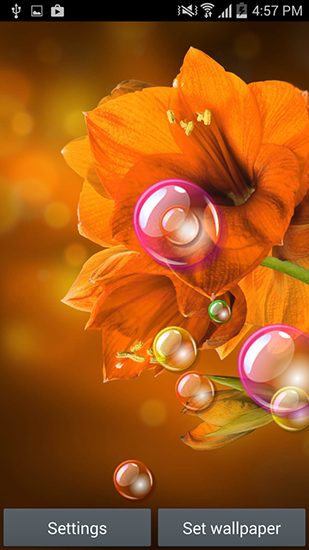 Flowers 2015 - бесплатно скачать живые обои на Андроид телефон или планшет.