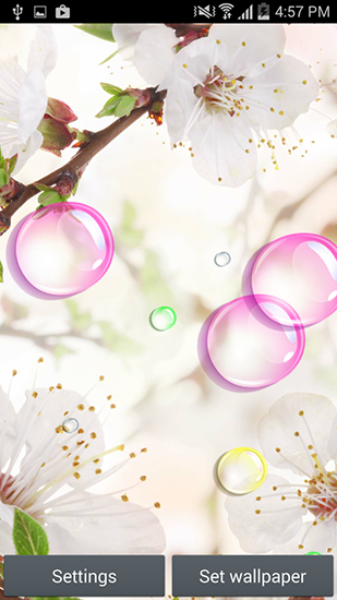 Fondos de pantalla animados a Flowers 2015 para Android. Descarga gratuita fondos de pantalla animados Flores 2015.