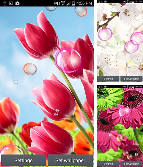 Además de fondo de pantalla animados Brillo para teléfonos y tabletas Android, también puedes descargarte gratis Flowers 2015.