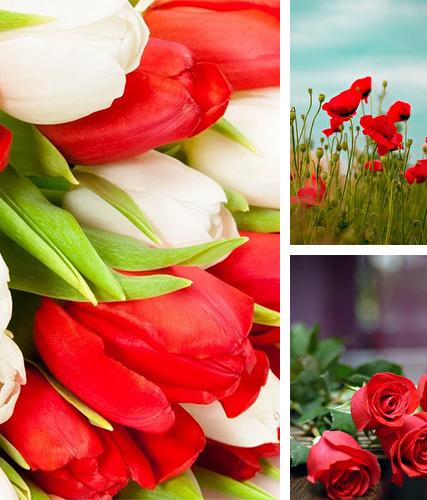 Flowers by Happy live wallpapers - бесплатно скачать живые обои на Андроид телефон или планшет.