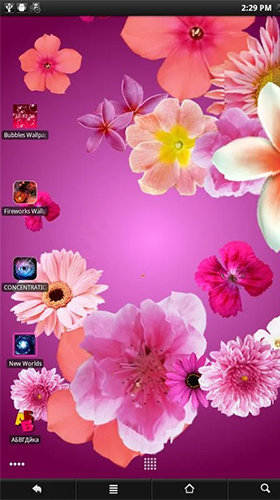 Android タブレット、携帯電話用パンソフト: 花のスクリーンショット。