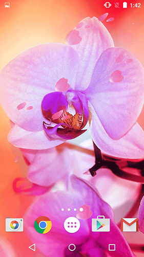 Flowers by Phoenix Live Wallpapers - скачати безкоштовно живі шпалери для Андроїд на робочий стіл.