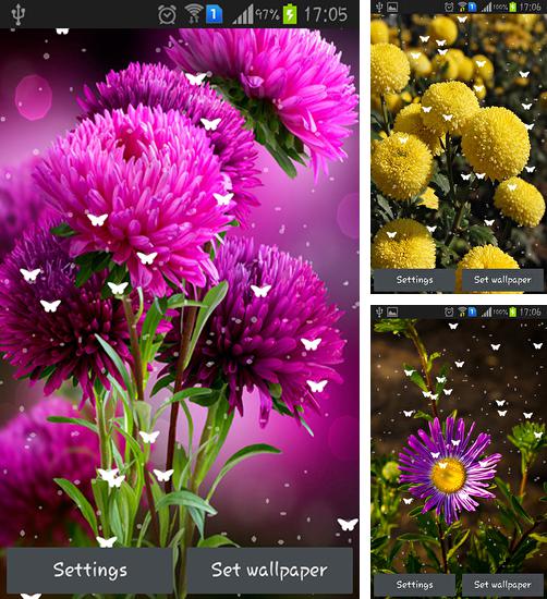 Дополнительно к живым обоям на Андроид телефоны и планшеты Новый год: Обратный отсчет, вы можете также бесплатно скачать заставку Flowers by Stechsolutions.