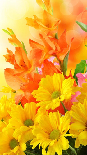 Flowers by Ultimate Live Wallpapers PRO - скачать бесплатно живые обои для Андроид на рабочий стол.