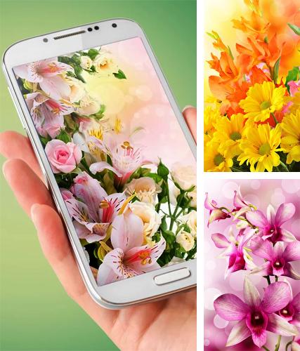 Kostenloses Android-Live Wallpaper Blumen. Vollversion der Android-apk-App Flowers by Ultimate Live Wallpapers PRO für Tablets und Telefone.