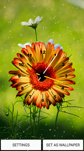 Flowers clock