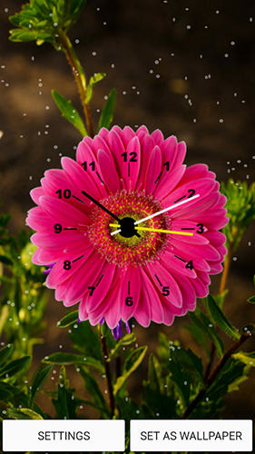Papeis de parede animados Relógio de flores para Android. Papeis de parede animados Flowers clock para download gratuito.