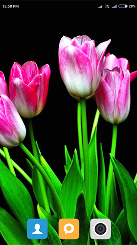 Screenshots of the Flowers HD by Android Wallpaper Store for Android tablet, phone.
