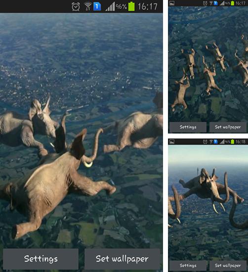 Zusätzlich zum Live Wallpaper Süße Kätzchen für Android Mobiltelefone und Tablets, können Sie auch Flying elephants, Fliegende Elefanten kostenlos herunterladen.