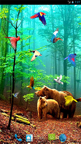 Descarga gratuita fondos de pantalla animados Pájaros del bosque para Android. Consigue la versión completa de la aplicación apk de Forest birds para tabletas y teléfonos Android.