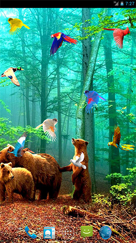 Papeis de parede animados Aves da floresta para Android. Papeis de parede animados Forest birds para download gratuito.