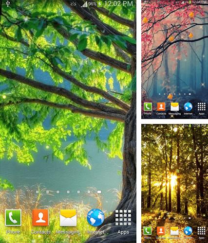 Kostenloses Android-Live Wallpaper Wald. Vollversion der Android-apk-App Forest by Dream World HD Live Wallpapers für Tablets und Telefone.
