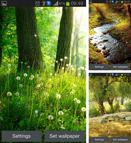 Дополнительно к живым обоям на Андроид телефоны и планшеты Осенний клен, вы можете также бесплатно скачать заставку Forest by Live wallpaper hq.