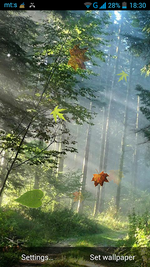 Forest by Pro live wallpapers