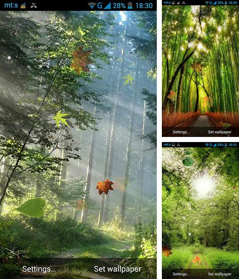 Zusätzlich zum Live Wallpaper Pilze für Android Mobiltelefone und Tablets, können Sie auch Forest by Pro live wallpapers, Wald kostenlos herunterladen.