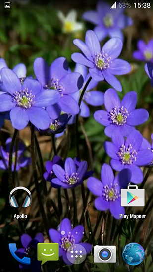Écrans de Forest flowers pour tablette et téléphone Android.
