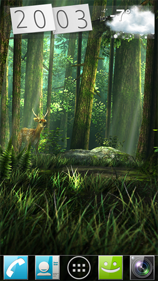 Écrans de Forest HD pour tablette et téléphone Android.