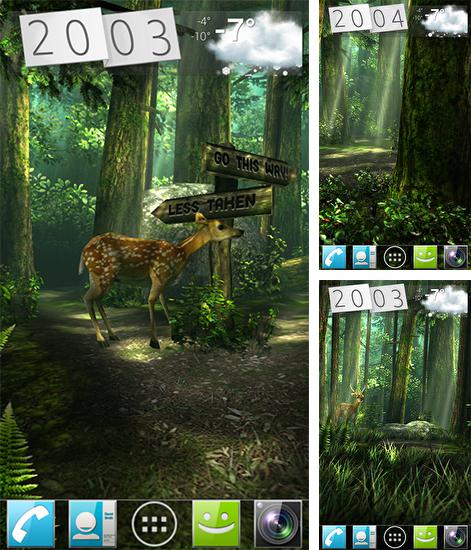 Kostenloses Android-Live Wallpaper Wald HD. Vollversion der Android-apk-App Forest HD für Tablets und Telefone.