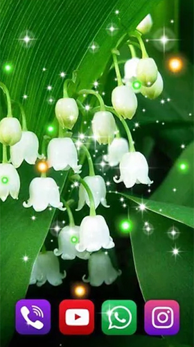 Forest lilies - бесплатно скачать живые обои на Андроид телефон или планшет.